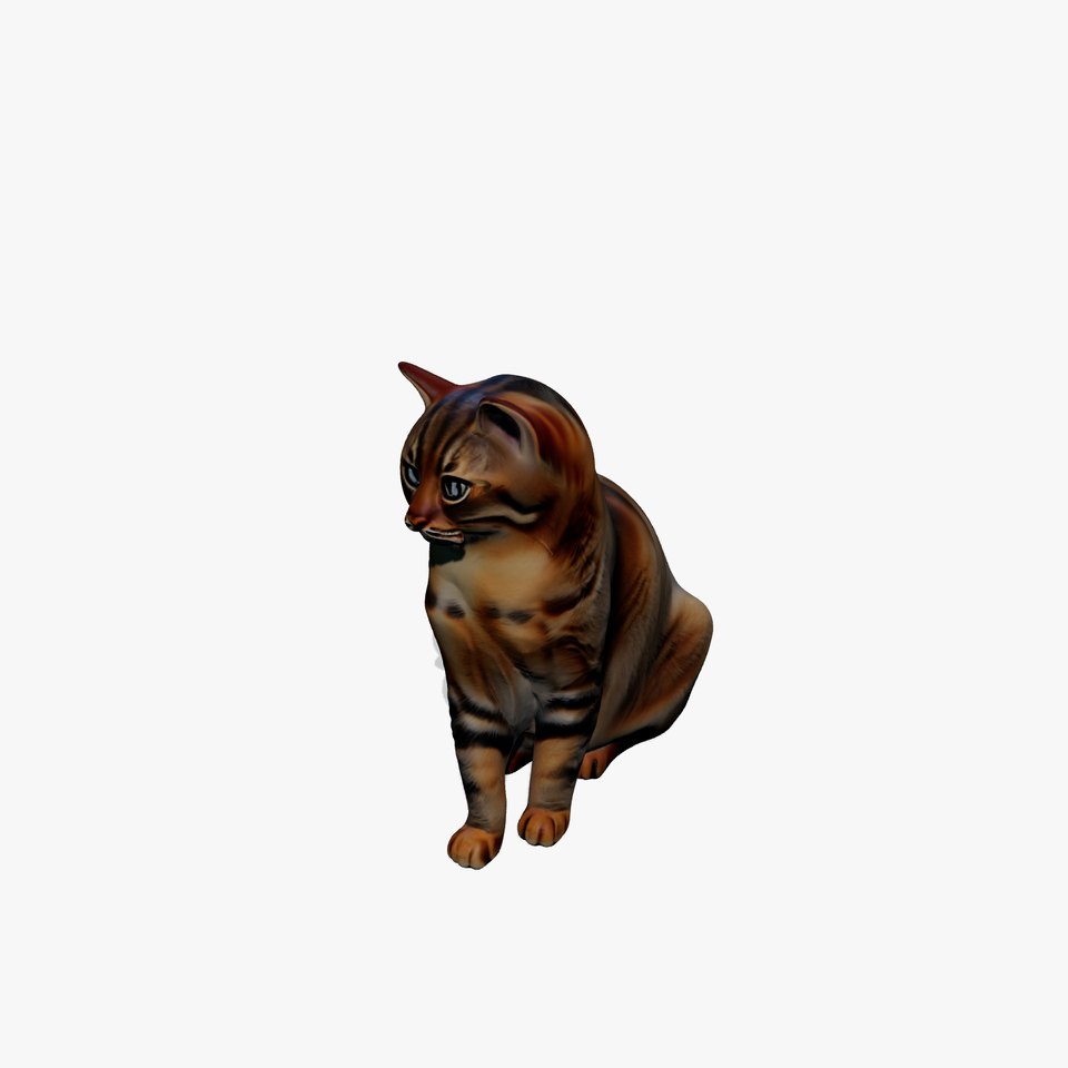 Realistic Domestic Cat Model Pack